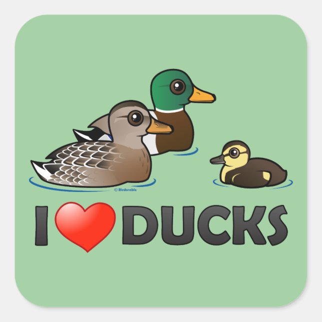 I Love Ducks Square Sticker (Front)