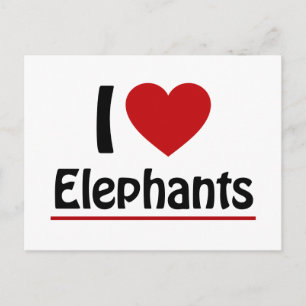I love Elephants Postcard