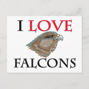 I Love Falcons Postcard