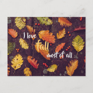 I love fall most of all / autumn postcard