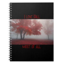 I Love Fall Most of All 