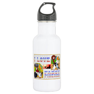 I Love Fancy Pigeons! 532 Ml Water Bottle