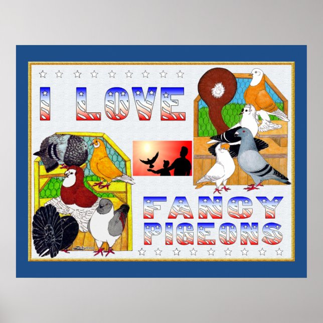I Love Fancy Pigeons! Poster (Front)