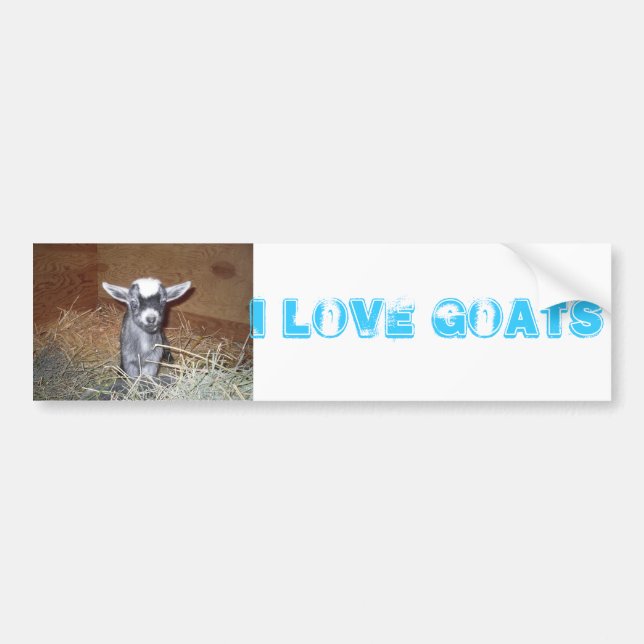 i love goats bumper sticker (Front)