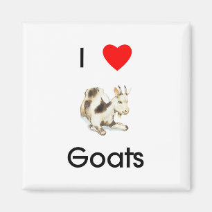 I love goats Magnet