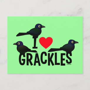 I Love Grackles Postcard