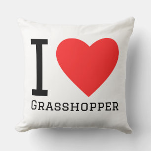 I love grasshopper cushion