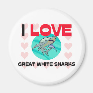 I Love Great White Sharks Magnet