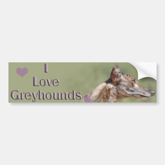 I Love Greyhounds Bumper Sticker (Front)