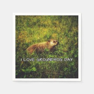 I love Groundhog Day napkins