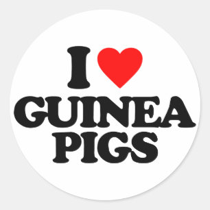 I LOVE GUINEA PIGS CLASSIC ROUND STICKER