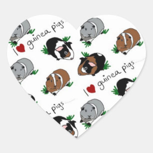 I love guinea pigs heart sticker