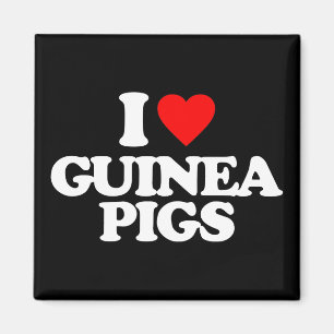 I LOVE GUINEA PIGS MAGNET