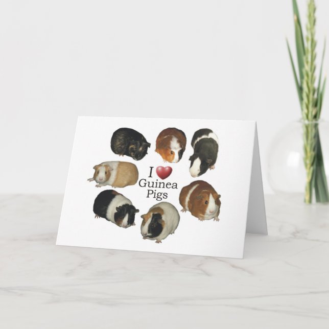 I Love Guinea Pigs - NoteCard (Front)