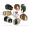 I Love Guinea Pigs Poster
