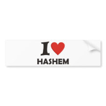 I love Hashem
