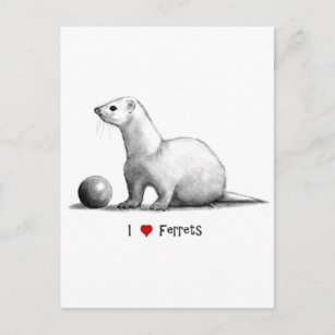 I Love (Heart) Ferrets: Pencil Drawing Postcard