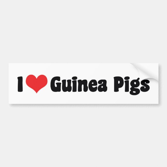 I Love Heart Guinea Pigs Bumper Sticker (Front)
