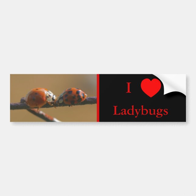 I Love Heart Ladybugs Nature 3 Bumper Sticker (Front)