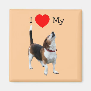 I Love Heart My Beagle Dog Magnet