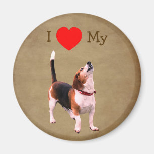 I Love Heart My Beagle Dog Magnet