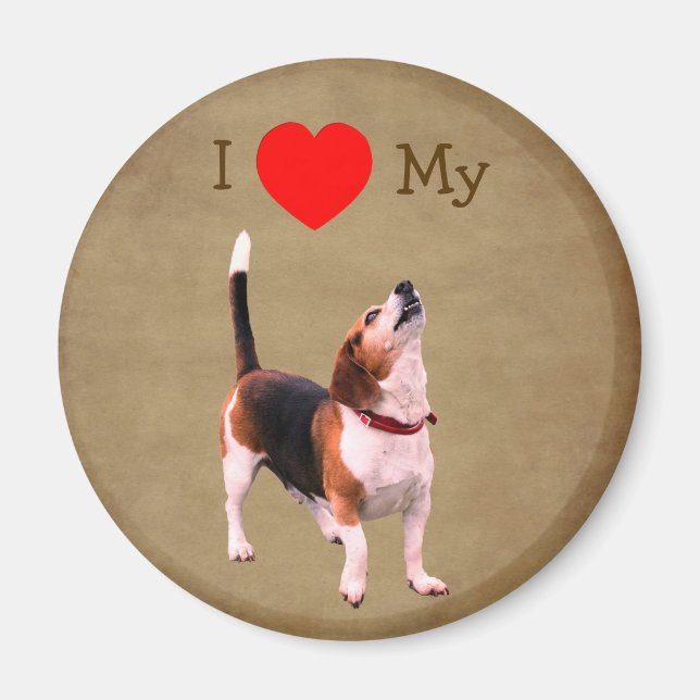 I Love Heart My Beagle Dog  Magnet (Front)