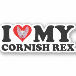 I Love (Heart) My Cornish Rex