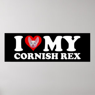 I Love (Heart) My Cornish Rex Poster
