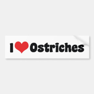 I Love Heart Ostriches - Ostrich Lover Bumper Sticker