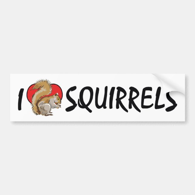 I Love Heart Squirrels - Squirrel Lover Bumper Sticker (Front)