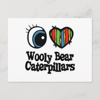 I Love (Heart) Wooly Bear Caterpillars Postcard