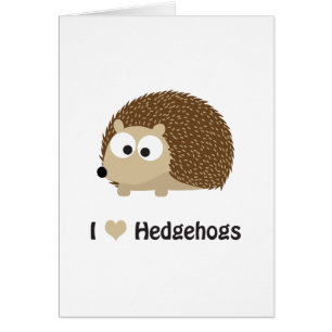 I love Hedgehogs