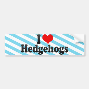 I Love Hedgehogs Bumper Sticker