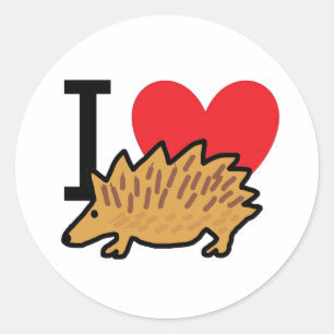 I Love Hedgehogs Classic Round Sticker