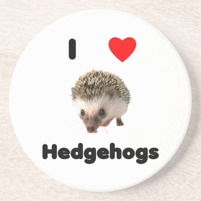 I love hedgehogs coaster (Front)