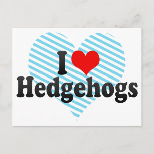I Love Hedgehogs Postcard