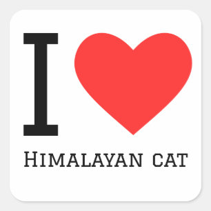 I love Himalayan cat Square Sticker