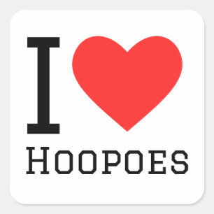 I love hoopoes square sticker