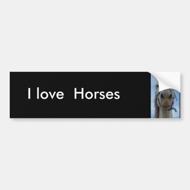I love, Horses bumper sticker (Front)