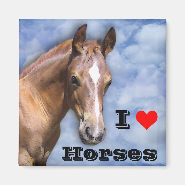 I love Horses 🐎  Magnet (Front)