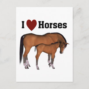 I Love Horses Postcard