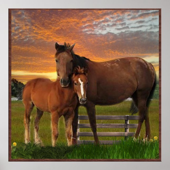 I love Horses Poster (Front)