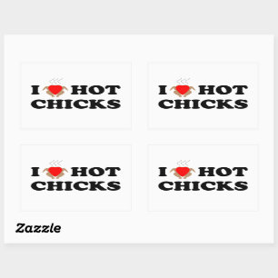 I Love Hot Chicks Funny Sticker Set