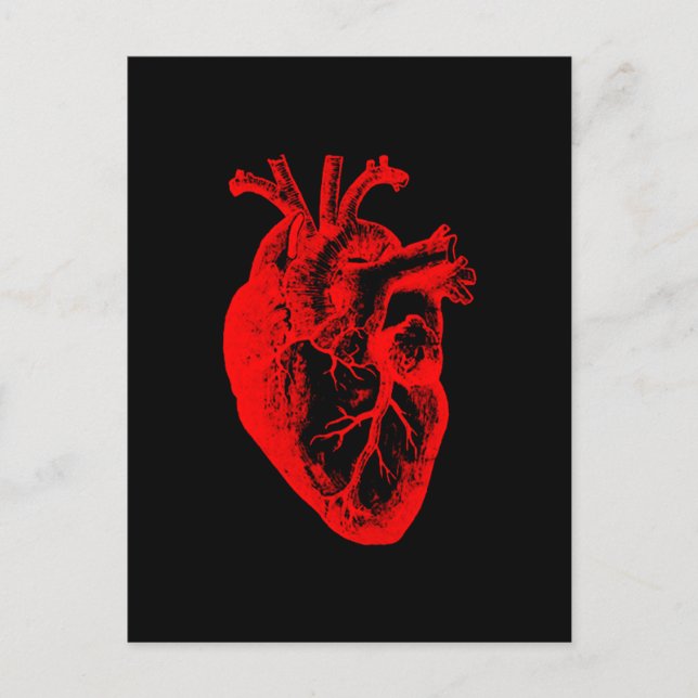 I love / I heart heart anatomy Postcard (Front)