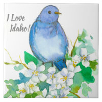 I Love Idaho Bluebird Syringa Wildflower