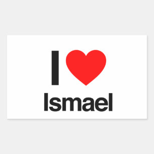 i love ismael rectangular sticker