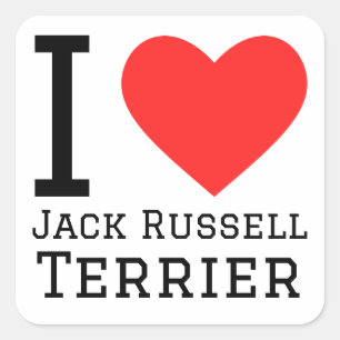 I love Jack Russell terrier Square Sticker