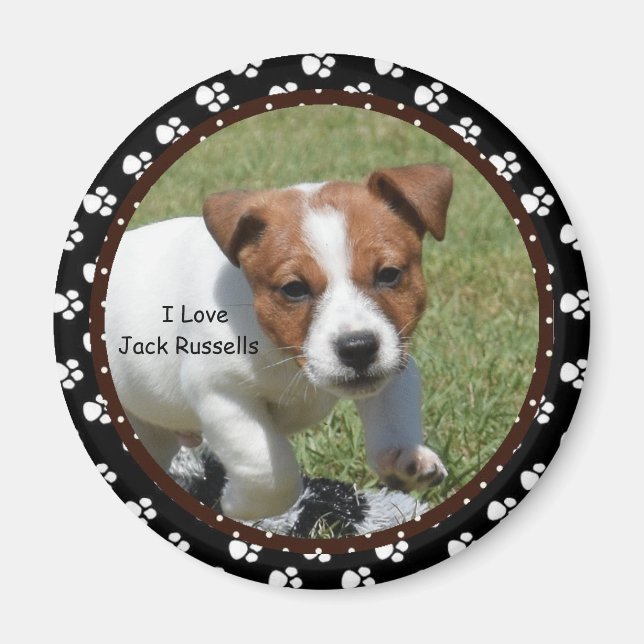 I love Jack Russells  Magnet (Front)