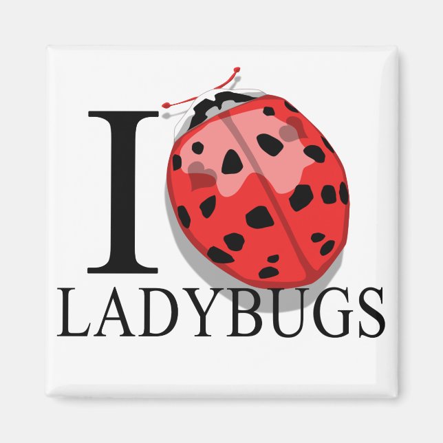 I Love Ladybugs Magnets (Front)