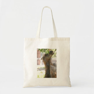 I Love Llamas Tote Bag